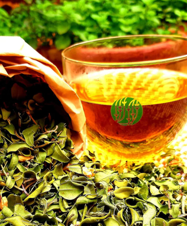Infusion Moringa