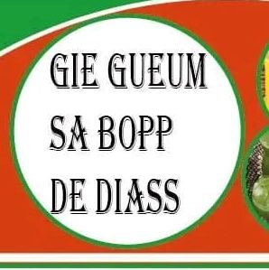 GUEUM SA BOPP