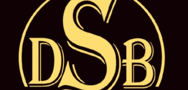 DIARRY SALIOU BUSINESS